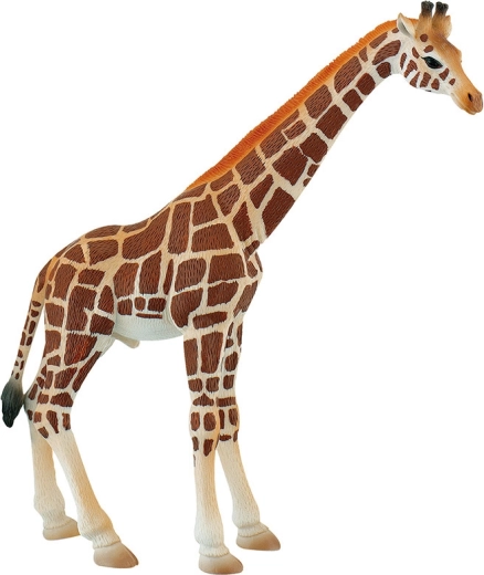 Girafe