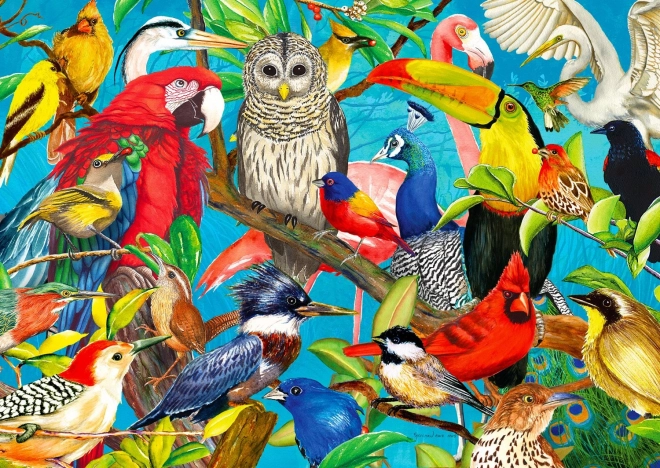 Puzzle Feathered Madness 1000 Pieces