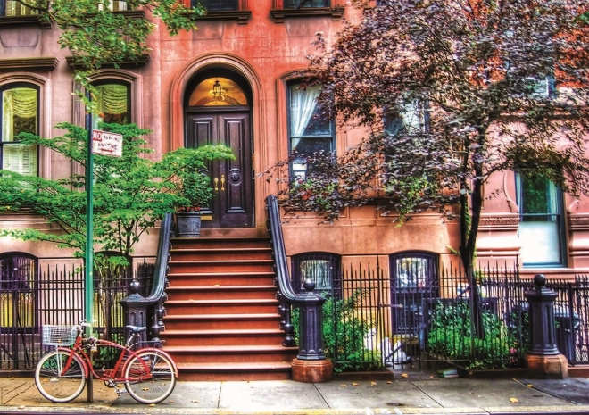 EDUCA Puzzle Greenwich Village, New York 1500 pieces