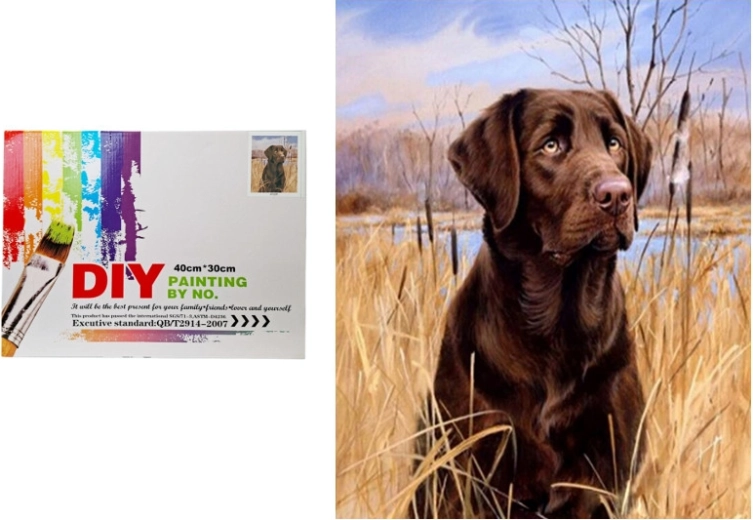 Peinture par numéros – chien dans les roseaux
