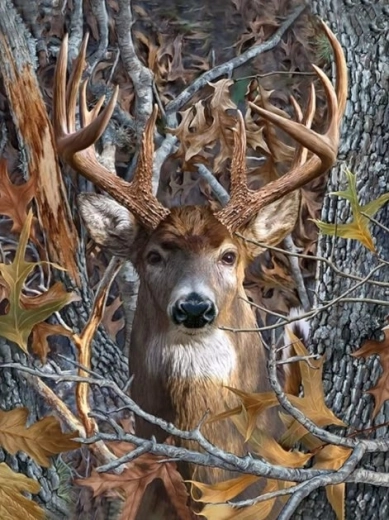 Diamond Painting – Deer’s Gaze 30 × 40 cm