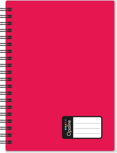 A4 Notebook with twin wire binding, 60 sheets, red, PP Opaline