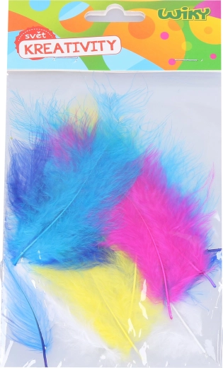 Creative set of decorative feathers 10 pcs