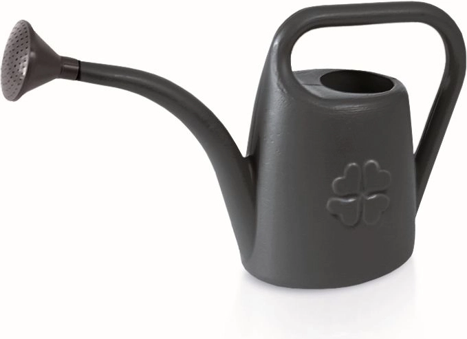 Arrosoir de jardin 4,5 l anthracite avec pomme d’arrosage amovible