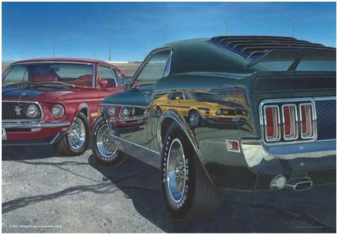 ANATOLIAN Puzzle Vitesse 500 pièces