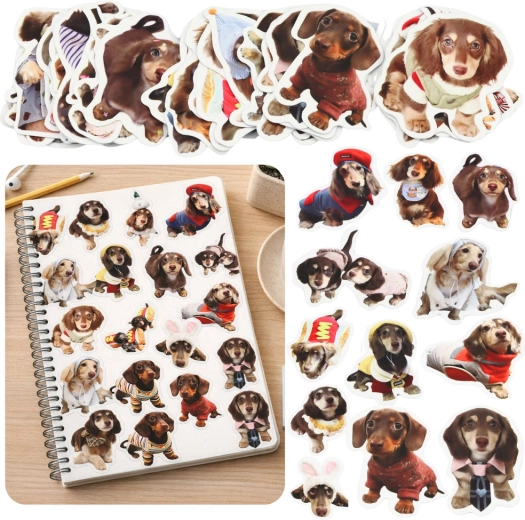 Set of Paper Stickers with Spaniels, 50 pcs