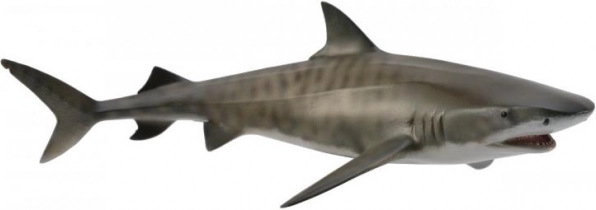 CollectA Tiger Shark