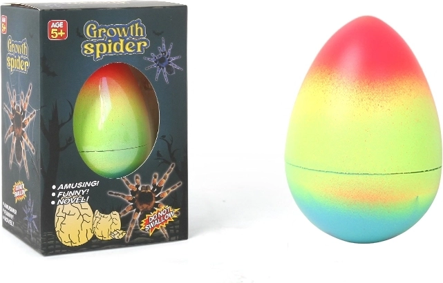 Growing Spider from Egg 12 cm