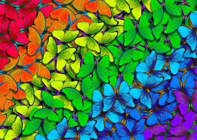 Rainbow Butterflies Puzzle 1000 Pieces