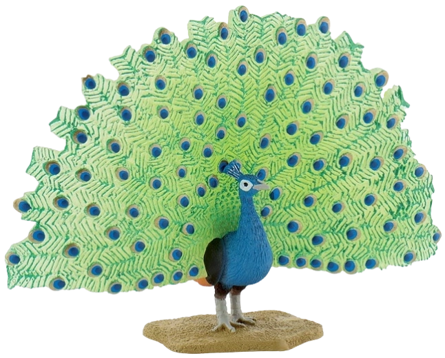 Bullyland peacock – hand-painted PVC-free figurine