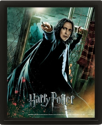 3D schilderij HARRY POTTER – Severus Snape