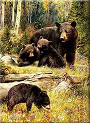 Diamond painting – Beren op de open plek 30 × 40 cm