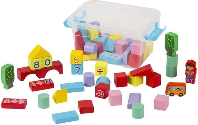 Blocs en bois colorés dans une boîte en plastique – 53 pièces