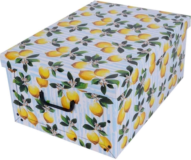 Karton-Aufbewahrungsbox Maxi – Zitronen