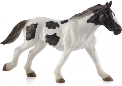 Mojo Irish Tinker Yearling Foal