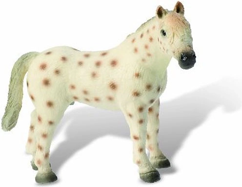 Étalon Knabstrupper