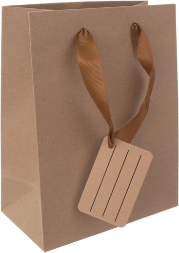 Cadeaupapieren tas Nature 18 × 10 × 23 cm