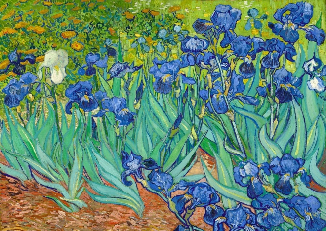 Enjoy the Puzzle Vincent Van Gogh: Irises 1000 Pieces