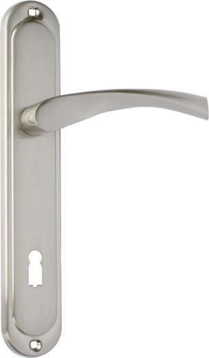 Ferrure de porte ATENA avec cylindre 90 mm, nickel mat