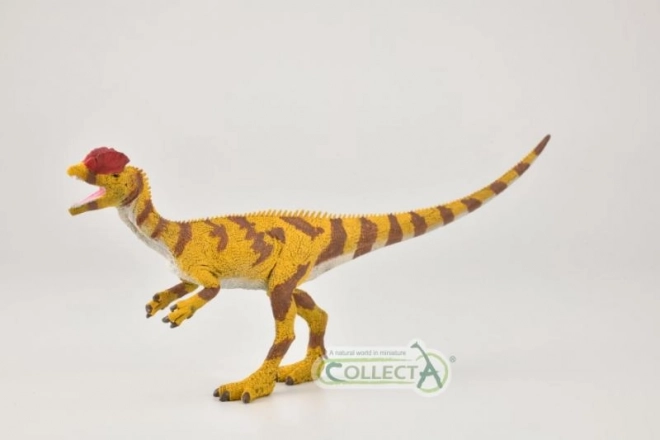 CollectA Dilophosaurus figurine