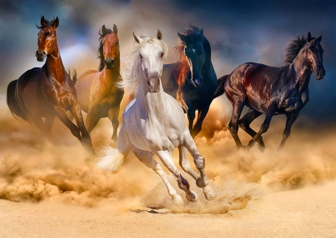 Puzzle Horses Galloping in the Desert 1000 Pieces