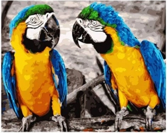 Diamant schilderen Papegaaien 30 × 40 cm