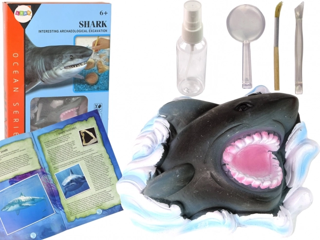 Kit éducatif Exploration des océans - Requin et trilobites
