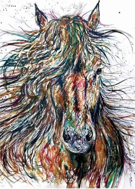 Puzzle ANATOLIAN Vent 500 pièces