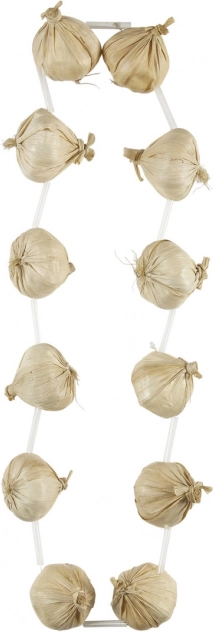 Decorative Necklace with Garlic
