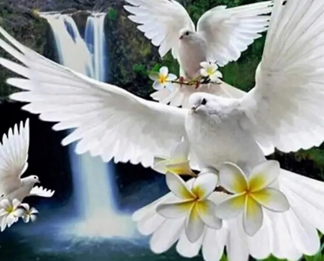 Diamantschilderen Witte duiven 30 × 40 cm