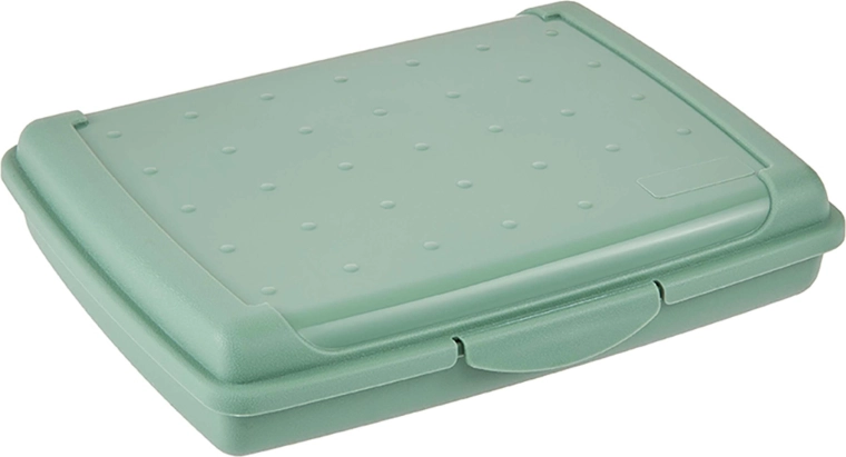 Plastic broodtrommel Scandinavisch groen 17 × 13 × 3,5 cm