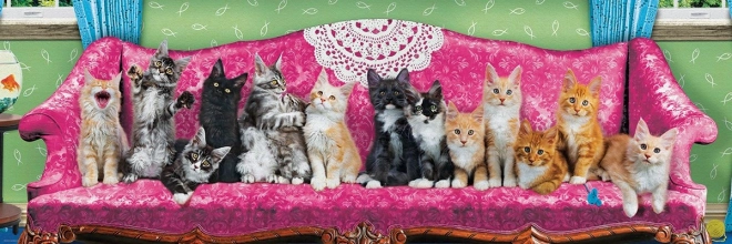 Panoramic Puzzle Cats on a Cat Couch - 1000 Pieces