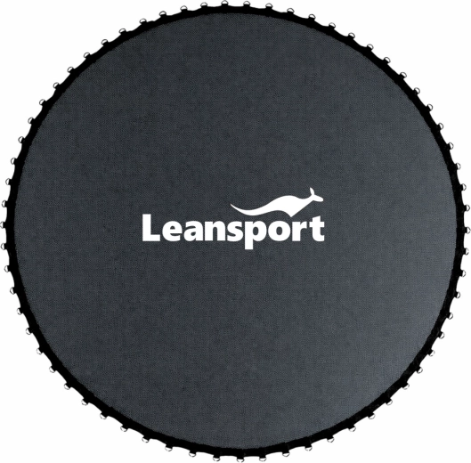 Toile de saut pour trampoline 244–252 cm 8 ft