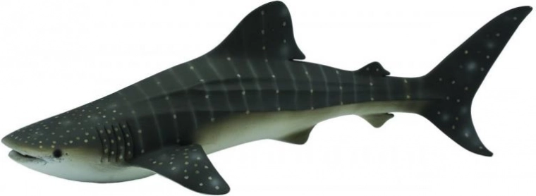 CollectA Requin-baleine