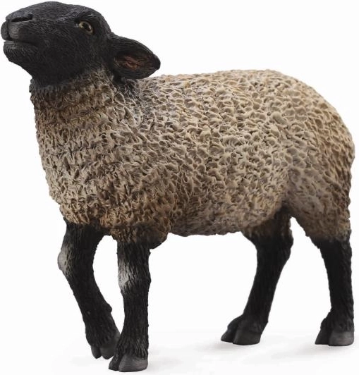 Collecta Suffolk Sheep plastic figurine