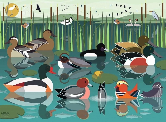 Water Birds Puzzle 500 Pieces