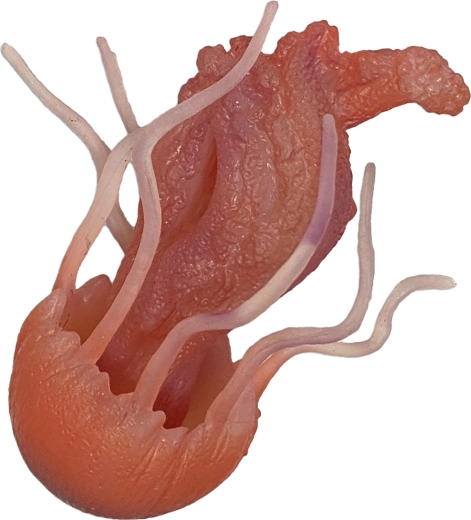 Rubber Jellyfish 10 cm – bath and pool toy