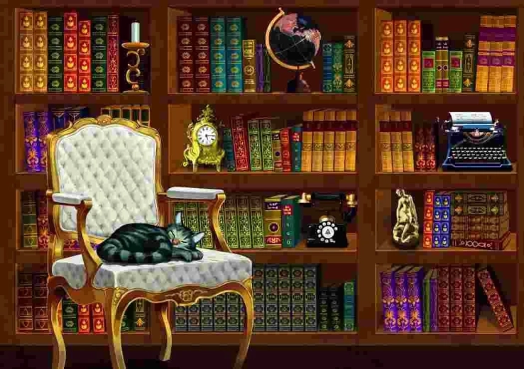 Puzzle Bibliothèque vintage 1000 pièces