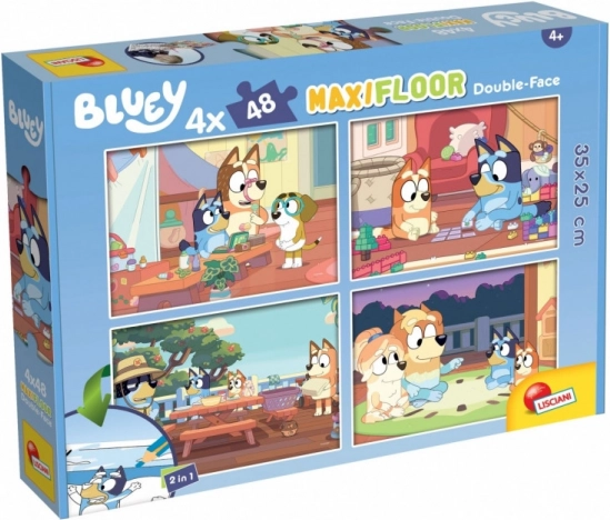 Puzzle 4 x 48 pieces Bluey maxi floor