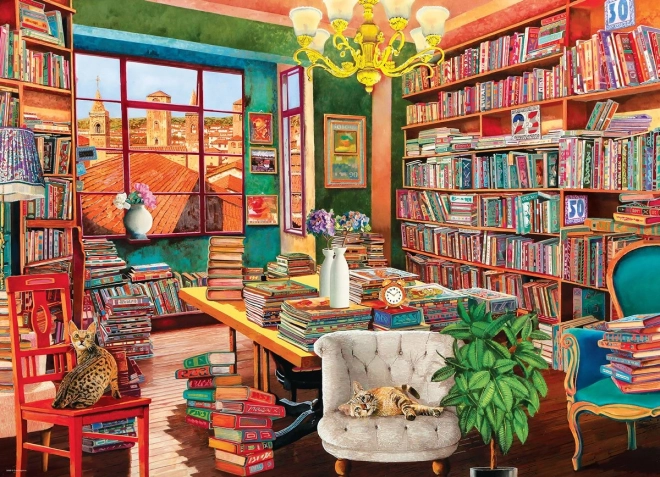 Puzzle Old Library 1000 pieces EUROGRAPHICS