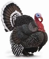 COLLECTA Kalkoen