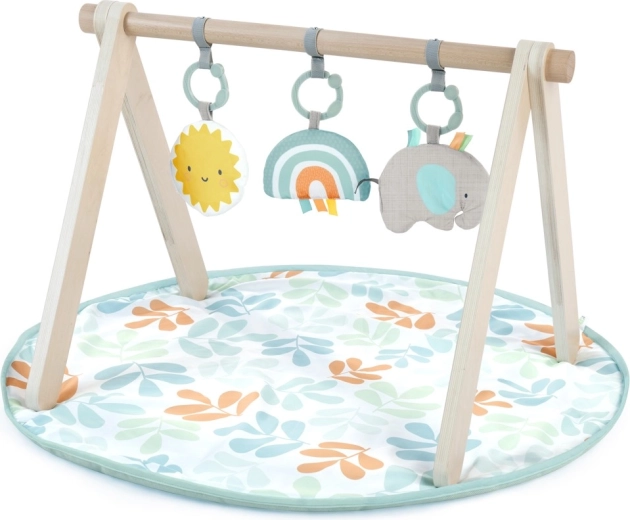 Ingenuity Sun Valley play mat with wooden play arch