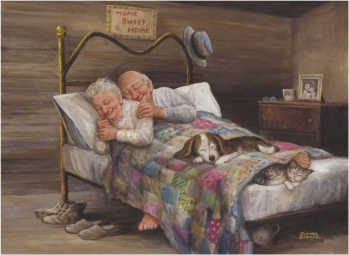 Puzzle Partout c’est bien, chez soi c’est mieux 1000 pièces