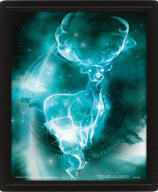 Tableau 3D Harry Potter - Patronus