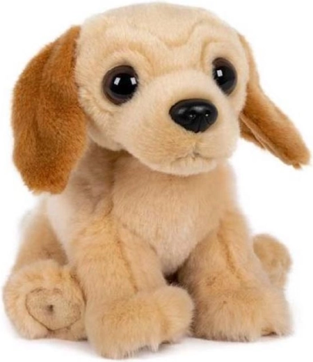 Zittende pluchen labrador 15 × 17 cm