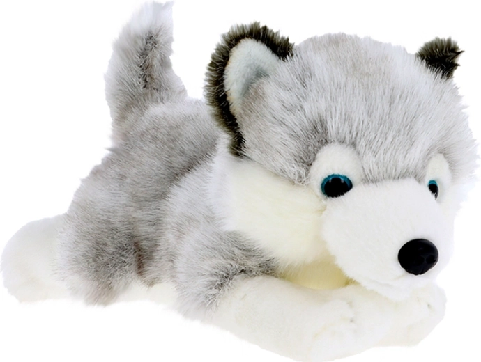 Pluchen husky puppy 30 cm KEEL TOYS Signature Forever