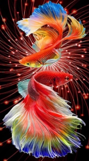 Diamond painting Rode visjes 30 × 40 cm