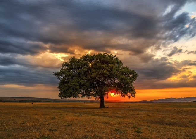 Puzzle Twilight 1000 Pieces ENJOY