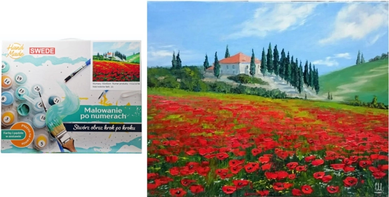 Paint by Numbers – Poppy Field