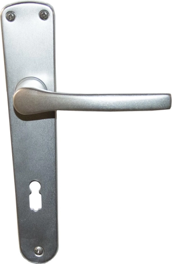 Poignée de porte avec plaque pour clé 90 mm, aluminium argenté MONET